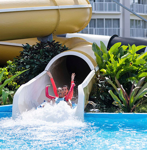 월드리조트 웨이브정글 데이패스