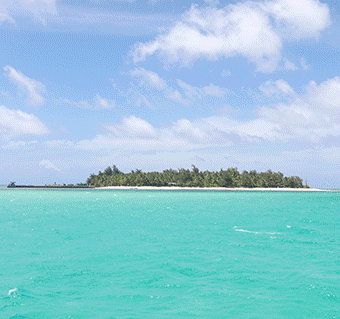 마나가하섬 투어 + 보트 스노클링 