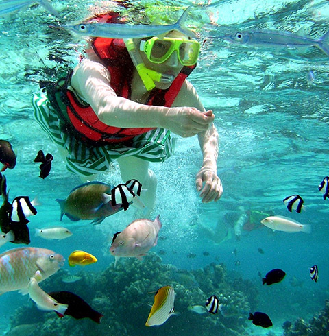 마나가하섬 투어 + 보트 스노클링 