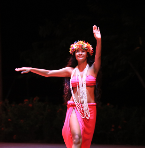 크라운플라자 아타리 디너쇼(픽업포함)