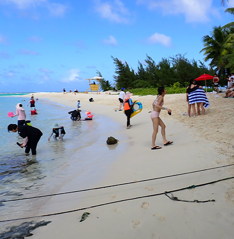 마나가하섬+호핑투어