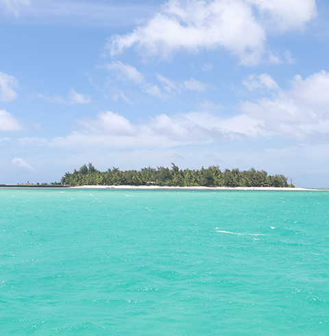 마나가하섬(종일투어)