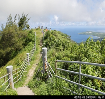 안혜연입니다님의 정글투어+선셋디너크루즈 리얼 후기!
