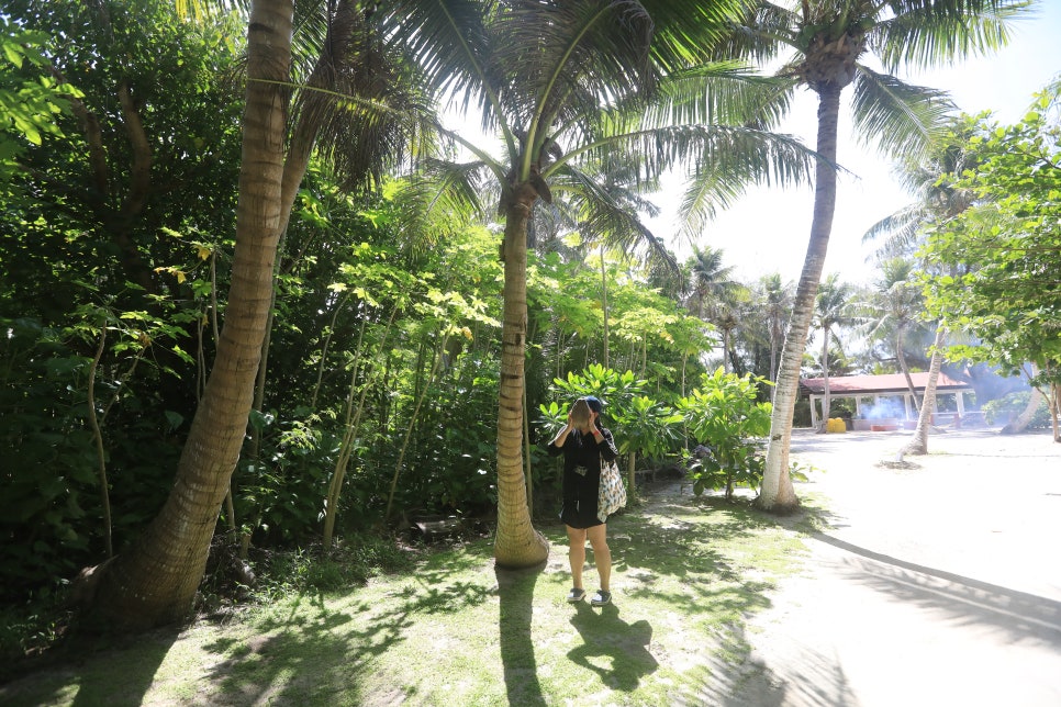 마나가하섬투어 사이판 패러세일링 백사장 에메랄드빛바다