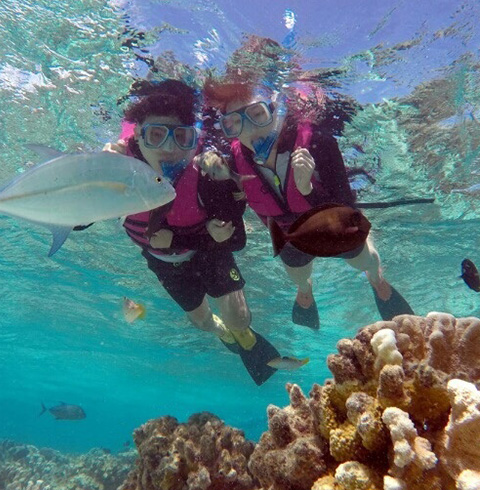 마나가하섬(종일투어)