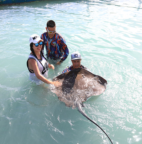 씨터치+라군크루즈